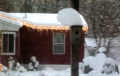 Snow on birdhouse