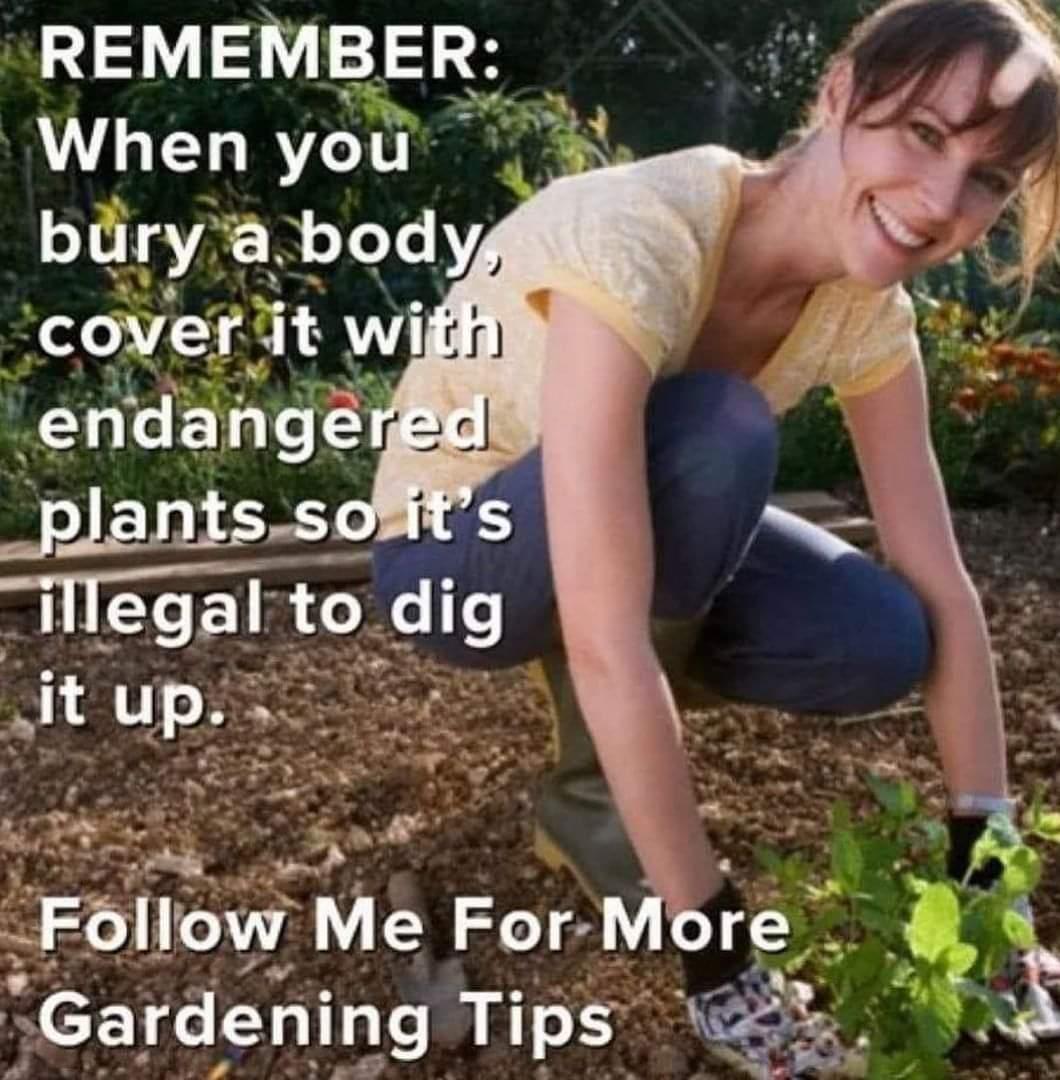 thumbnail (2).jpg Gardening tips.jpg