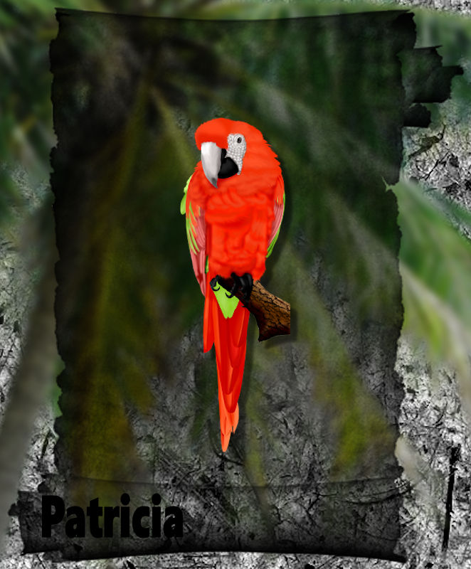 Parrot Parchment.jpg