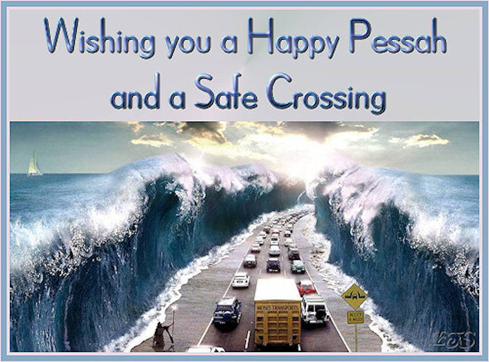 safe crossing.jpg