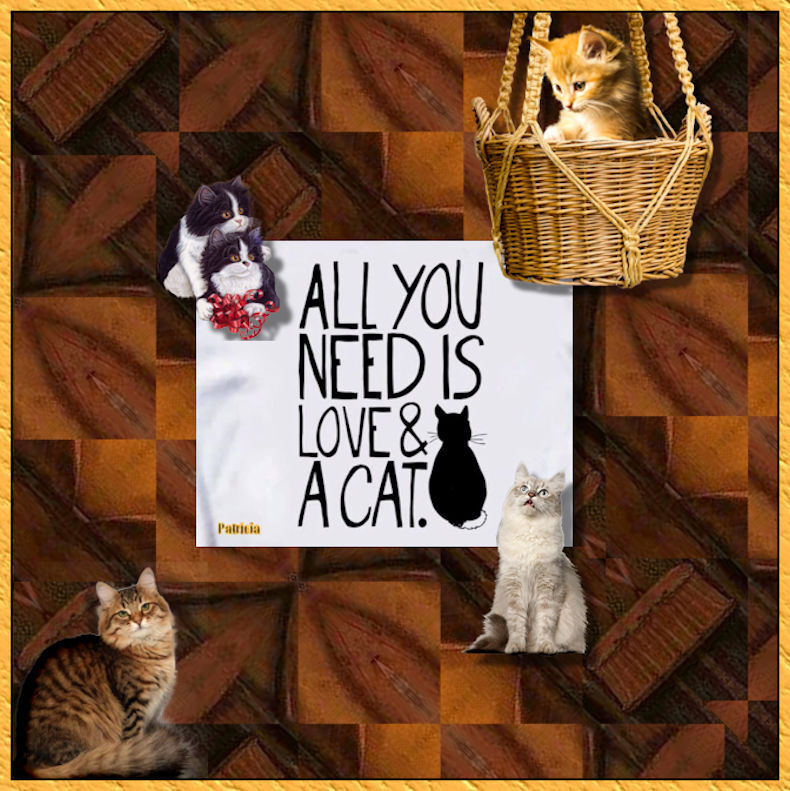 All you Need is Love and a Cat.jpg
