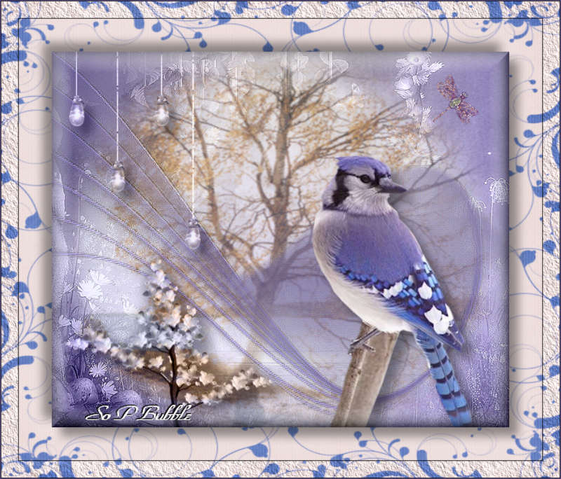 Bluebird of  Spring.jpg