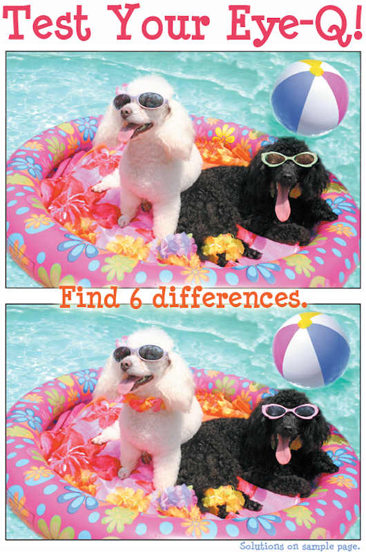 6 differences.jpg