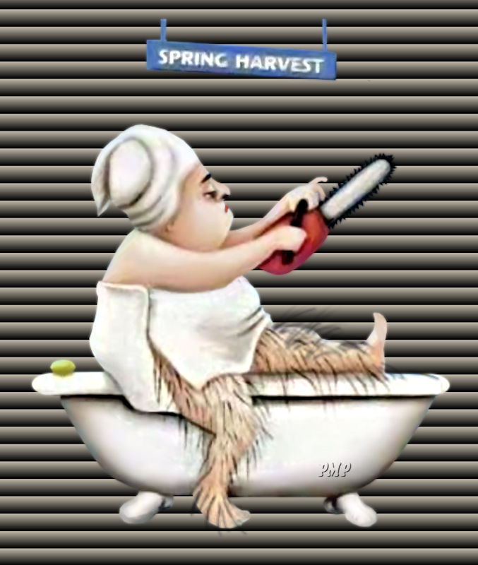 Spring Harvest.jpg